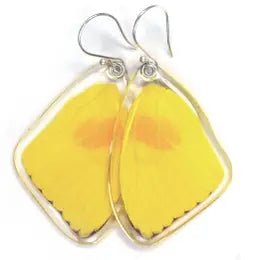 Wingstitution Butterfly Jewelry