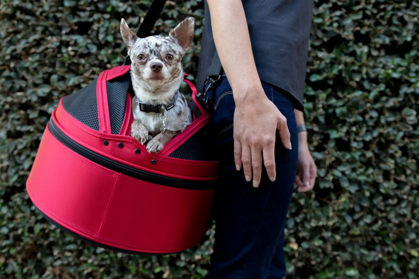 Sleepy Pod Mobile Pet Beds
