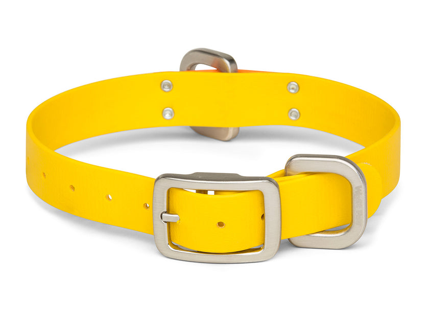 West Paw Jaunts Collar