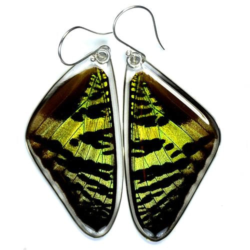 Wingstitution Butterfly Jewelry