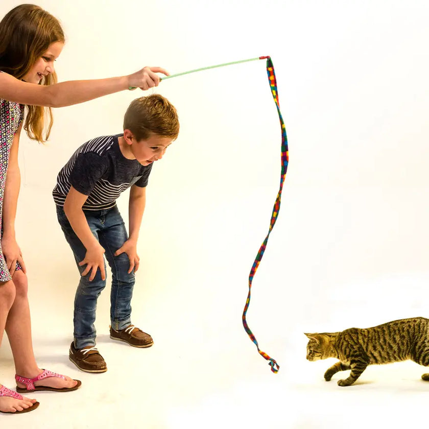 Cat Dancer Cat Charmers