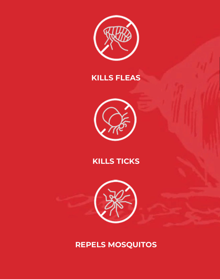 Flea and Tick Home Spray