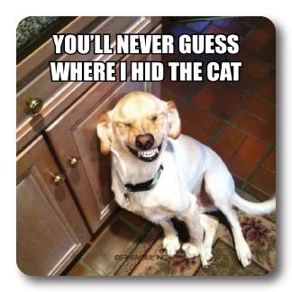 High Cotton Party Coaster