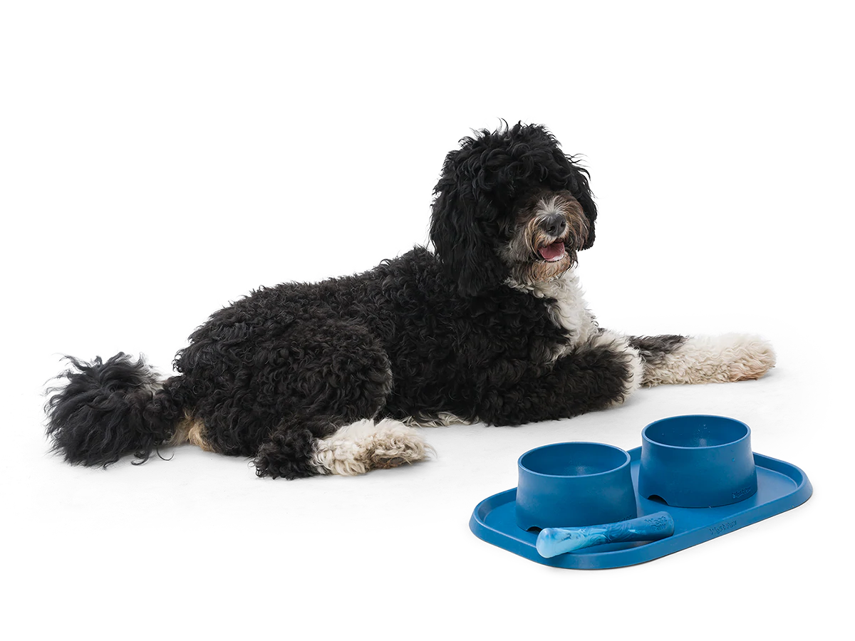 West Paw Seaflex Feeding Mat