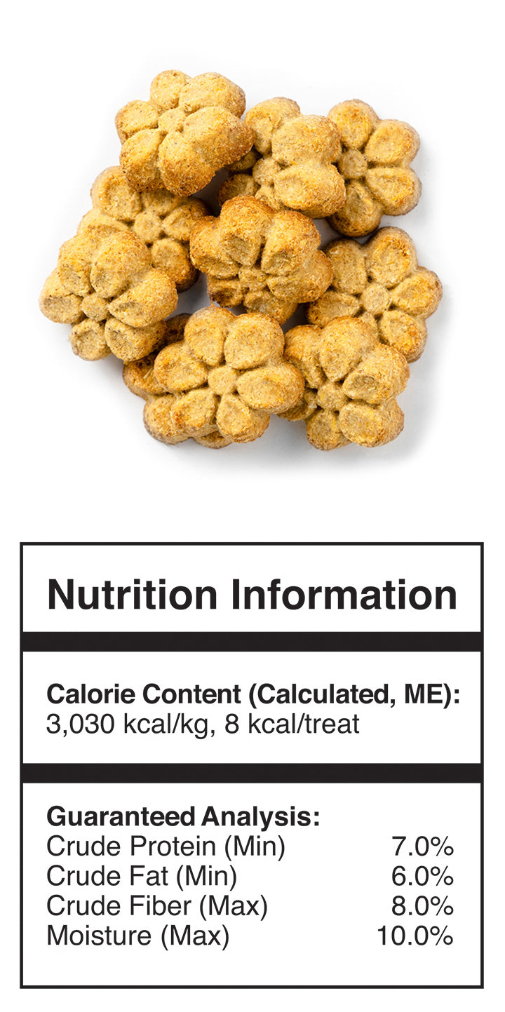 Fruitables Deliciously Healthy Dog Treats