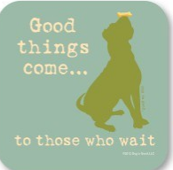 High Cotton Party Coaster