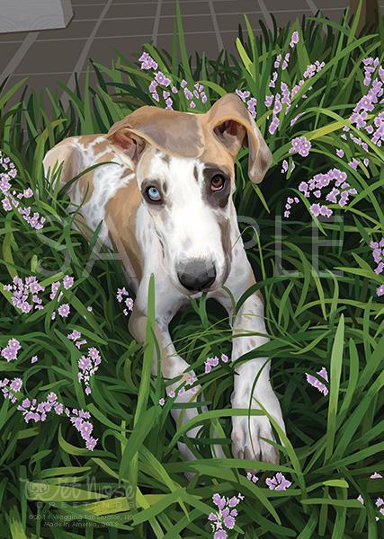 Wet Nose Greetings Card, 5