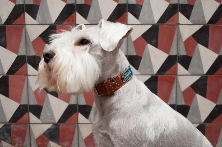 Nice Beast Collars