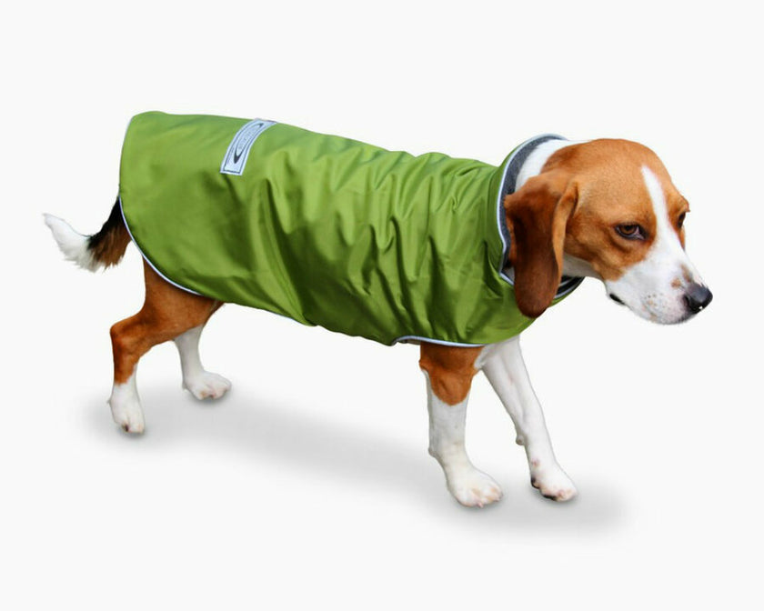 Teckelclub Winter Trench Waterproof Dog Coat
