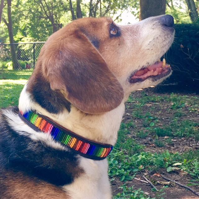 Rafiki Beaded Leather Collars