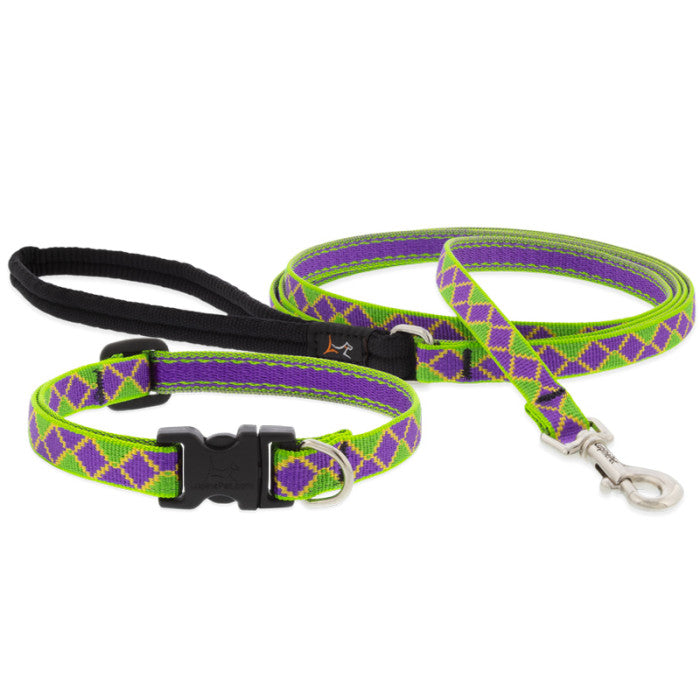 Original Designs Padded Handle Dog Leash, by Lupine