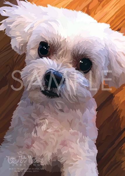 Wet Nose Greetings Card, 5