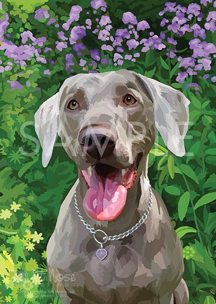 Wet Nose Greetings Card, 5