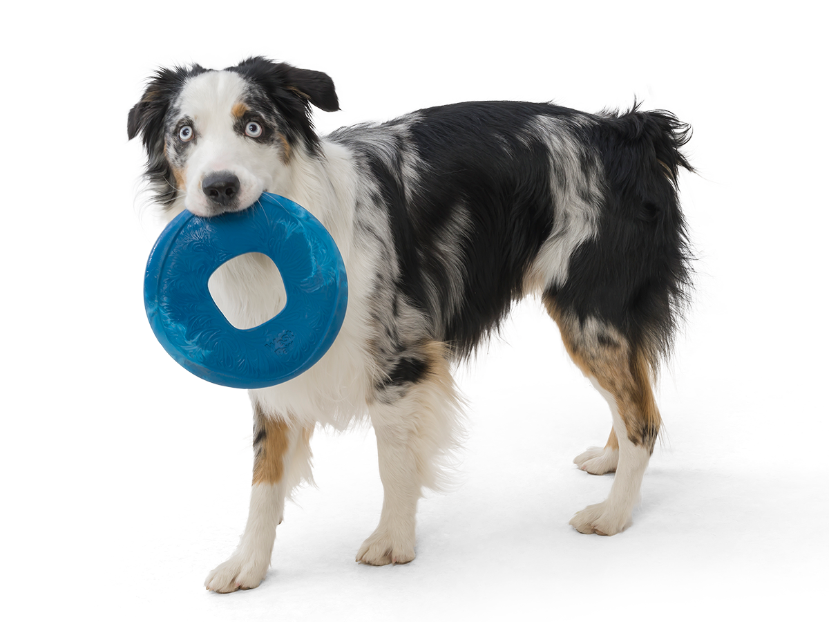 West Paw Seaflex Toys