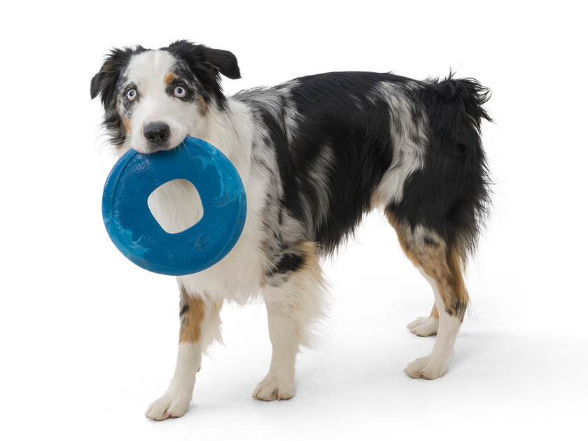 West Paw Seaflex Toys