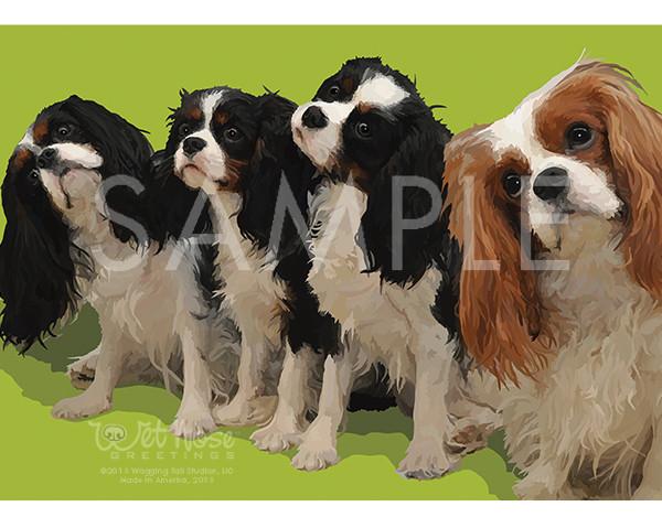 Wet Nose Greetings Card, 5
