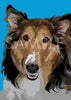 Wet Nose Greetings Card, 5