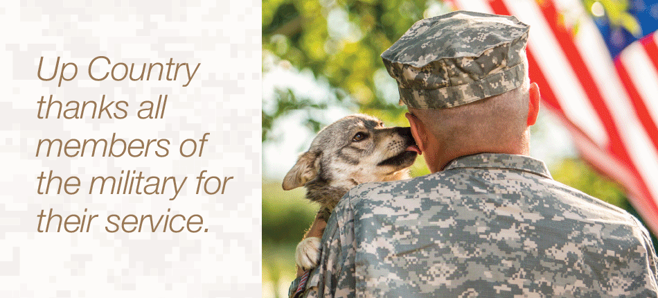 Dogs on Deployment Collar Collection, by Up Country