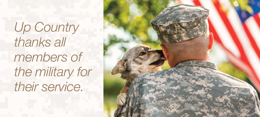 Dogs on Deployment Collar Collection, by Up Country