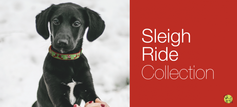 Up Country Holiday Collar Collection