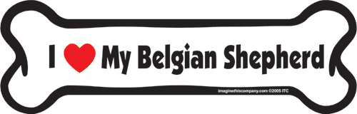 Imagine This Car Magnet, I Heart My..., Car Magnet