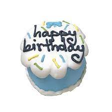Baby Birthday Cakes for Dogs