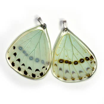 Wingstitution Butterfly Jewelry