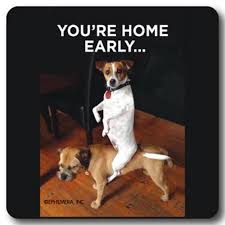 High Cotton Party Coaster