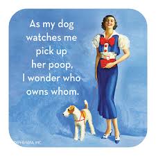 High Cotton Party Coaster