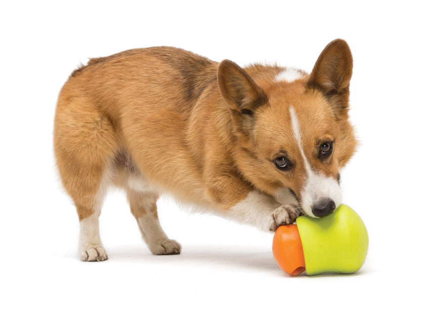 West Paw Zogoflex Toppl, Pet Toys