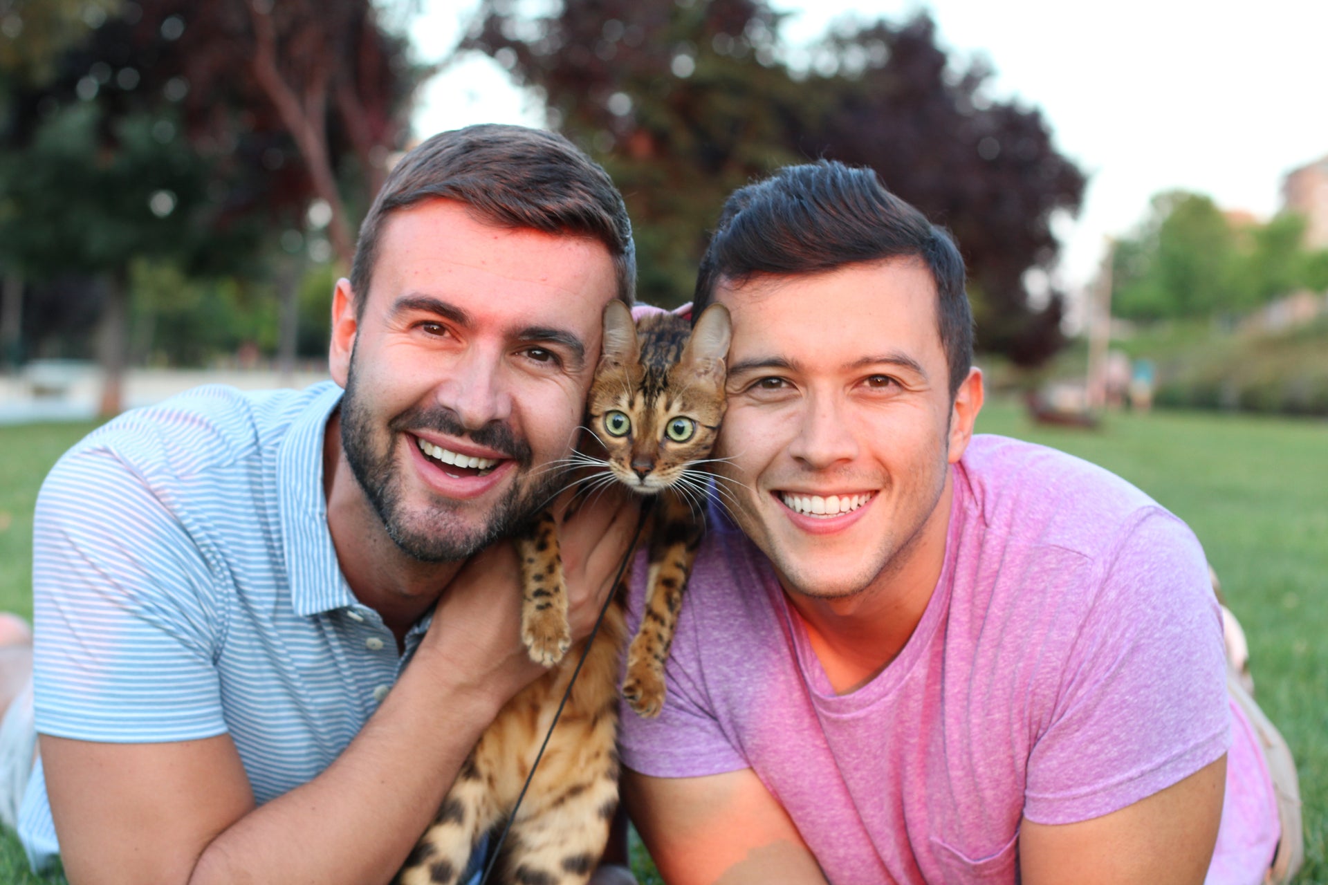 CATS