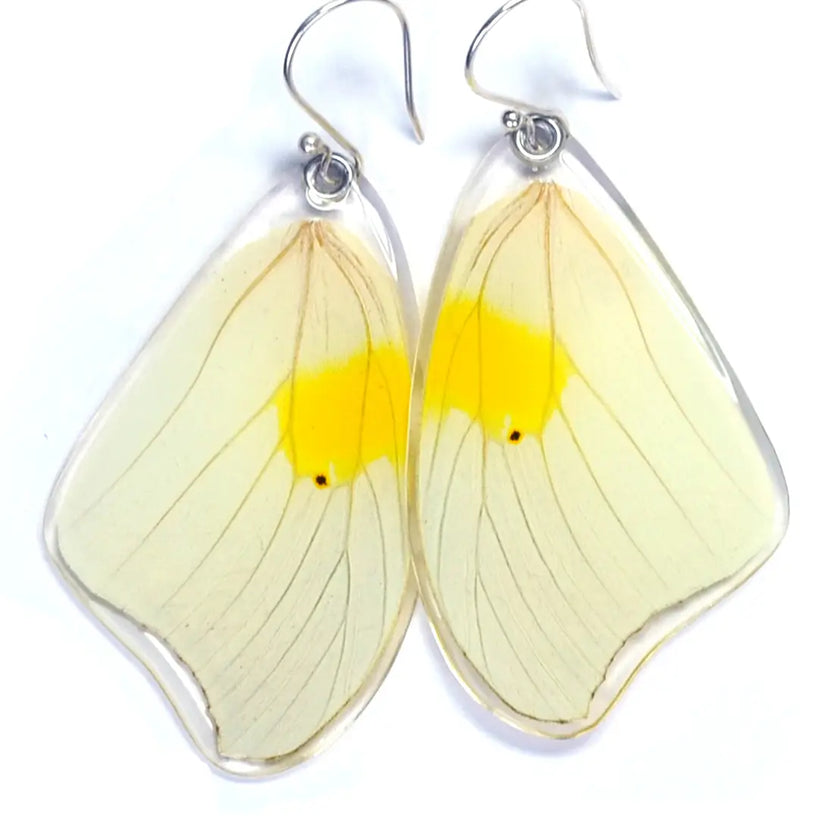 Wingstitution Butterfly Jewelry