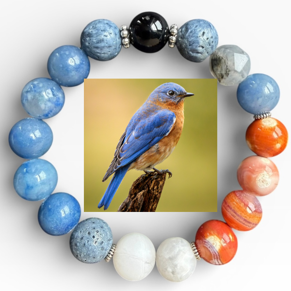 Eastern Bluebird