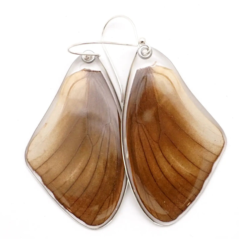 Wingstitution Butterfly Jewelry