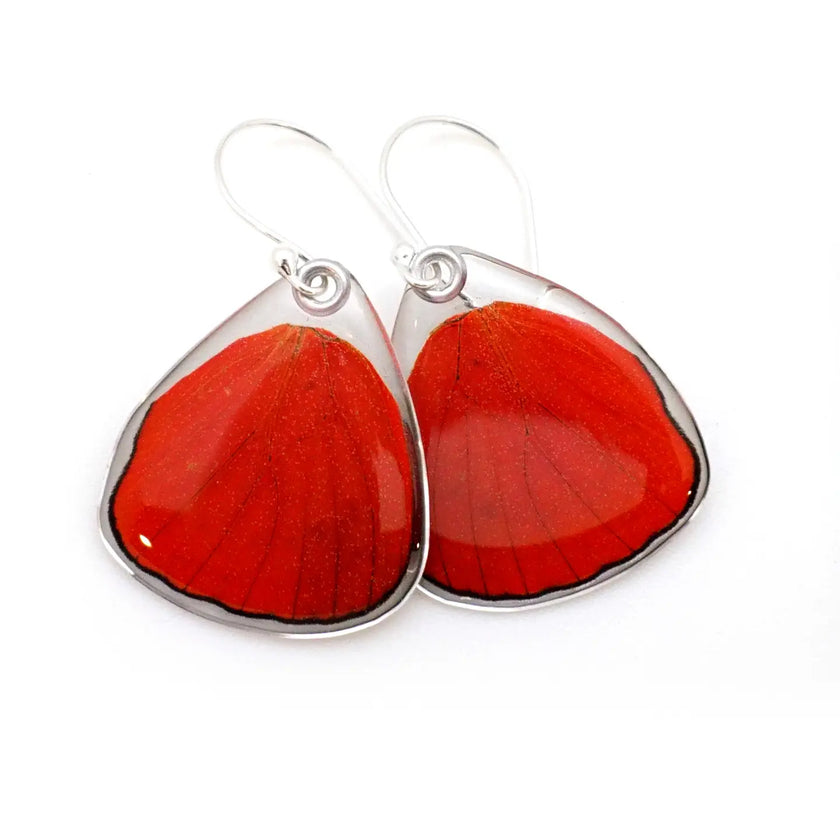 Wingstitution Butterfly Jewelry