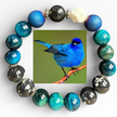 Indigo Bunting