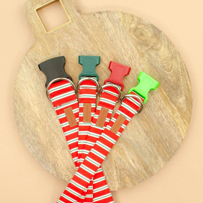 The Naughty List Leash