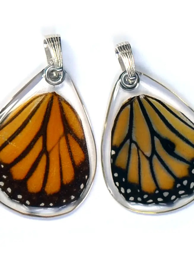 Wingstitution Butterfly Jewelry