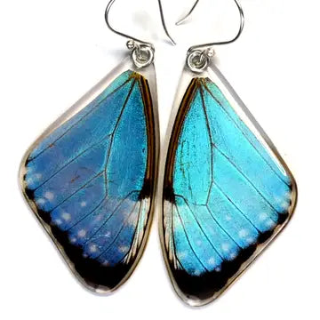 Wingstitution Butterfly Jewelry