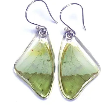 Wingstitution Butterfly Jewelry