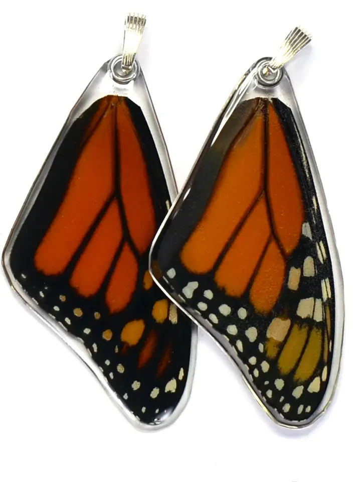 Wingstitution Butterfly Jewelry