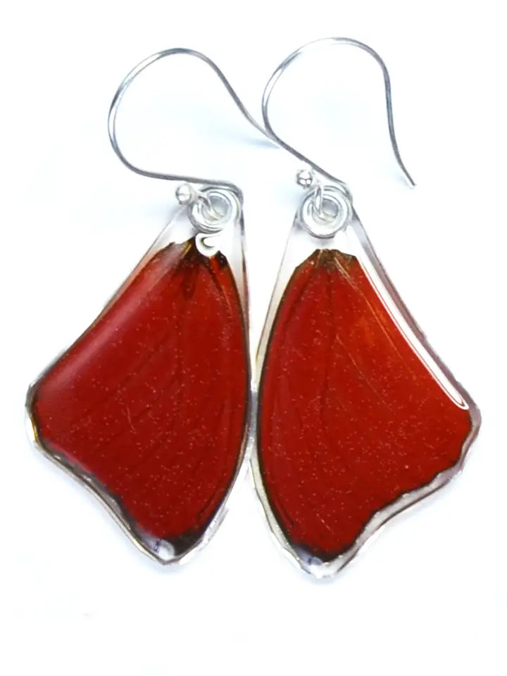 Wingstitution Butterfly Jewelry