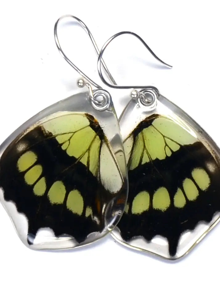 Wingstitution Butterfly Jewelry