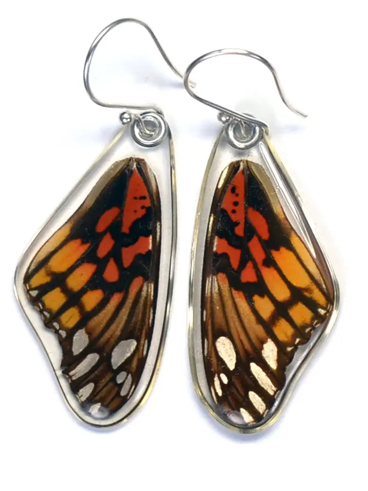 Wingstitution Butterfly Jewelry
