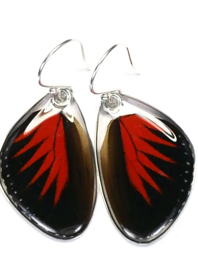 Wingstitution Butterfly Jewelry