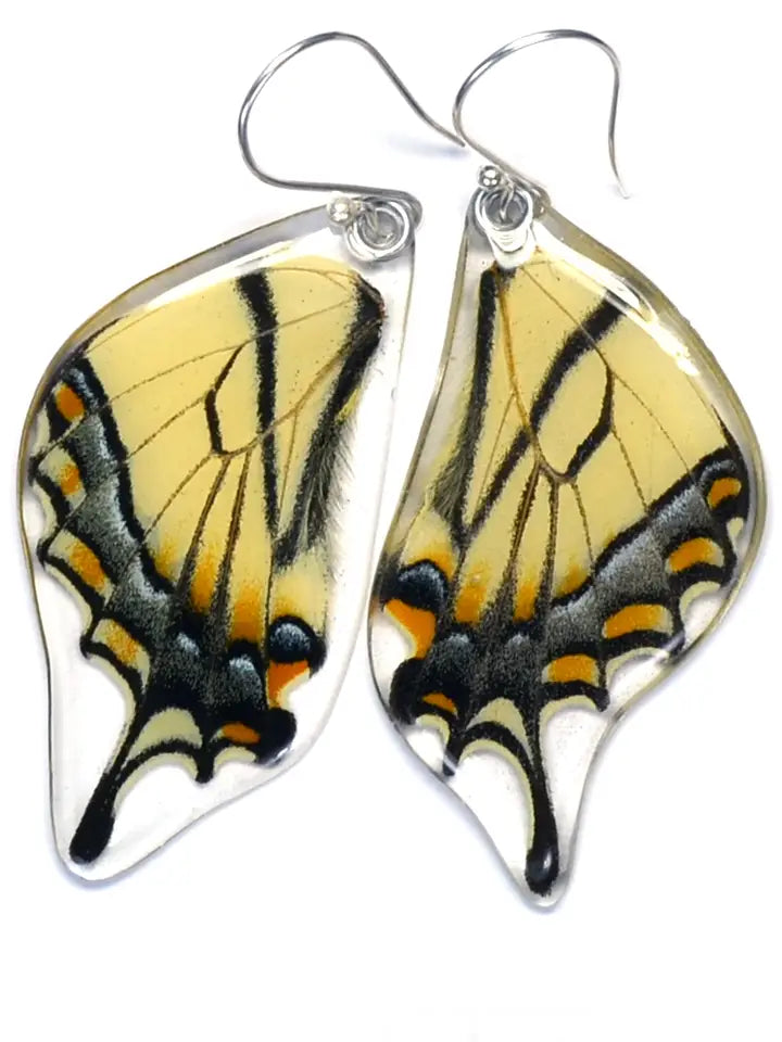 Wingstitution Butterfly Jewelry
