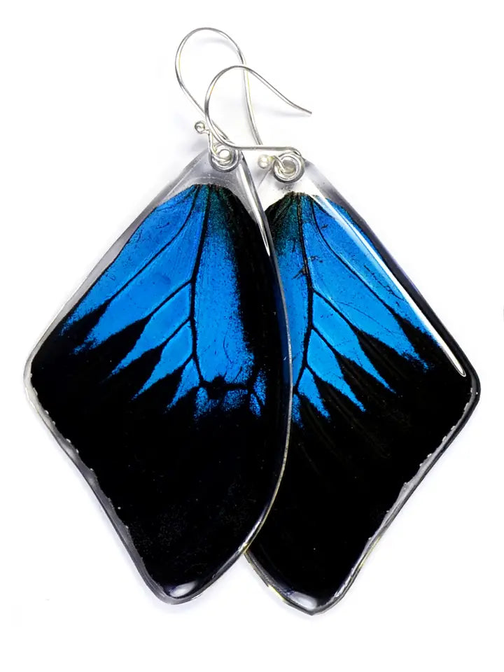 Wingstitution Butterfly Jewelry