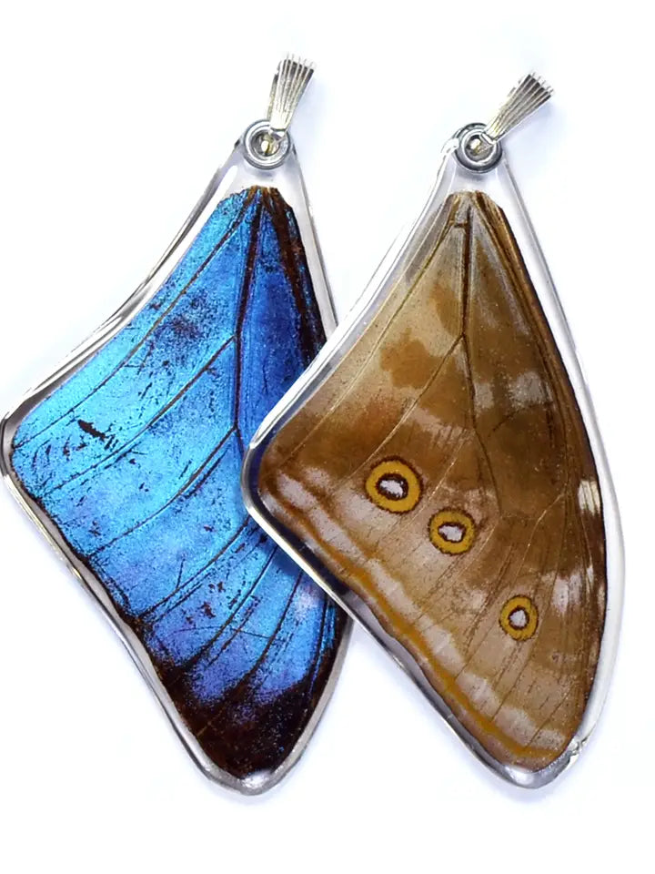 Wingstitution Butterfly Jewelry