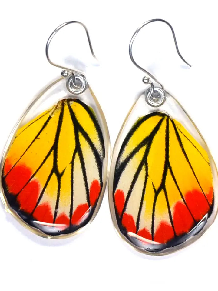 Wingstitution Butterfly Jewelry