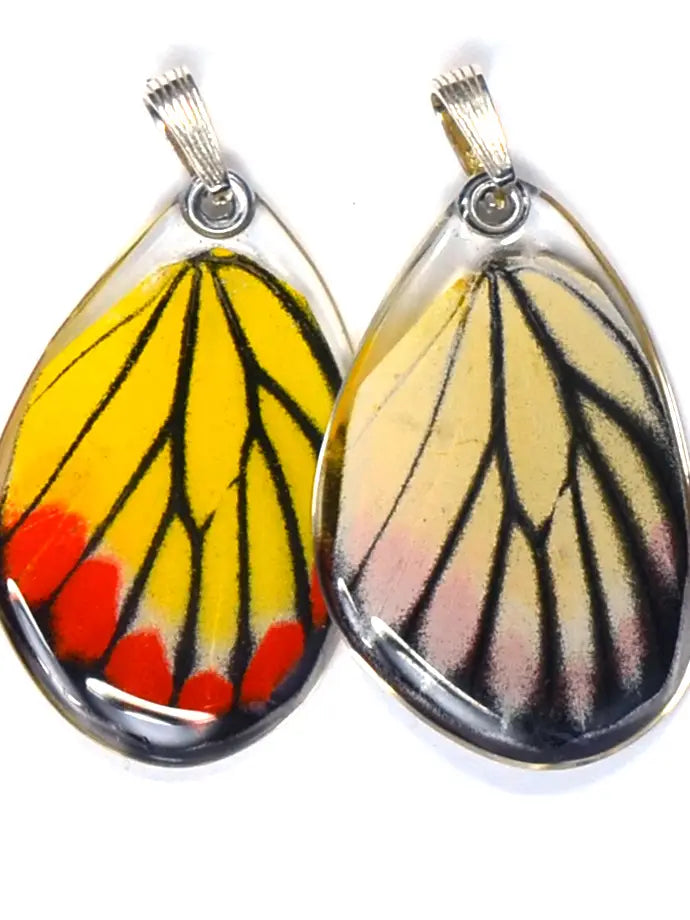 Wingstitution Butterfly Jewelry